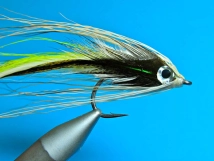 Large feather side Large feather side