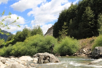 The stream The stream